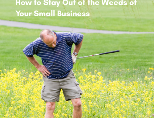 How to Stay Out of the Weeds of Your Business: Tips for Small Business Owners